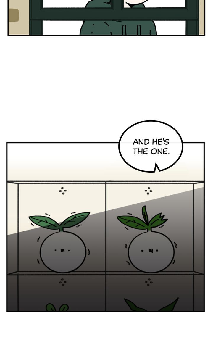 Read A Vegetarian