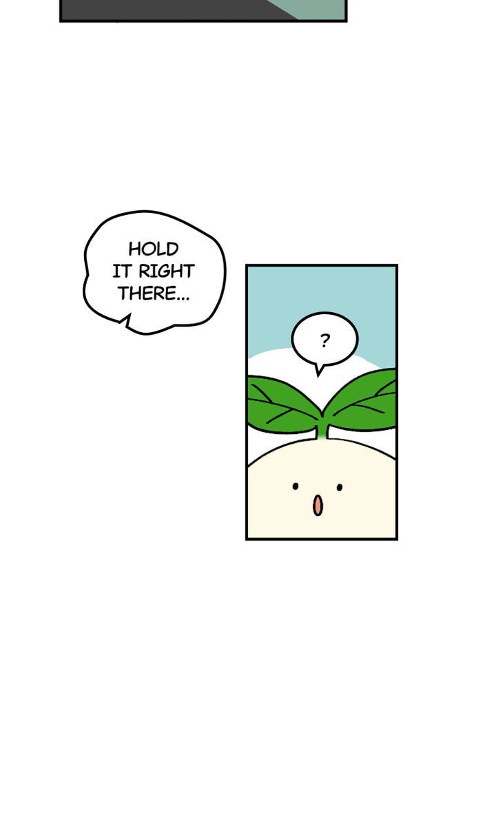Read A Vegetarian