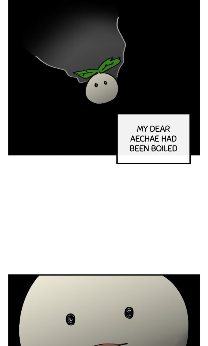 Read A Vegetarian