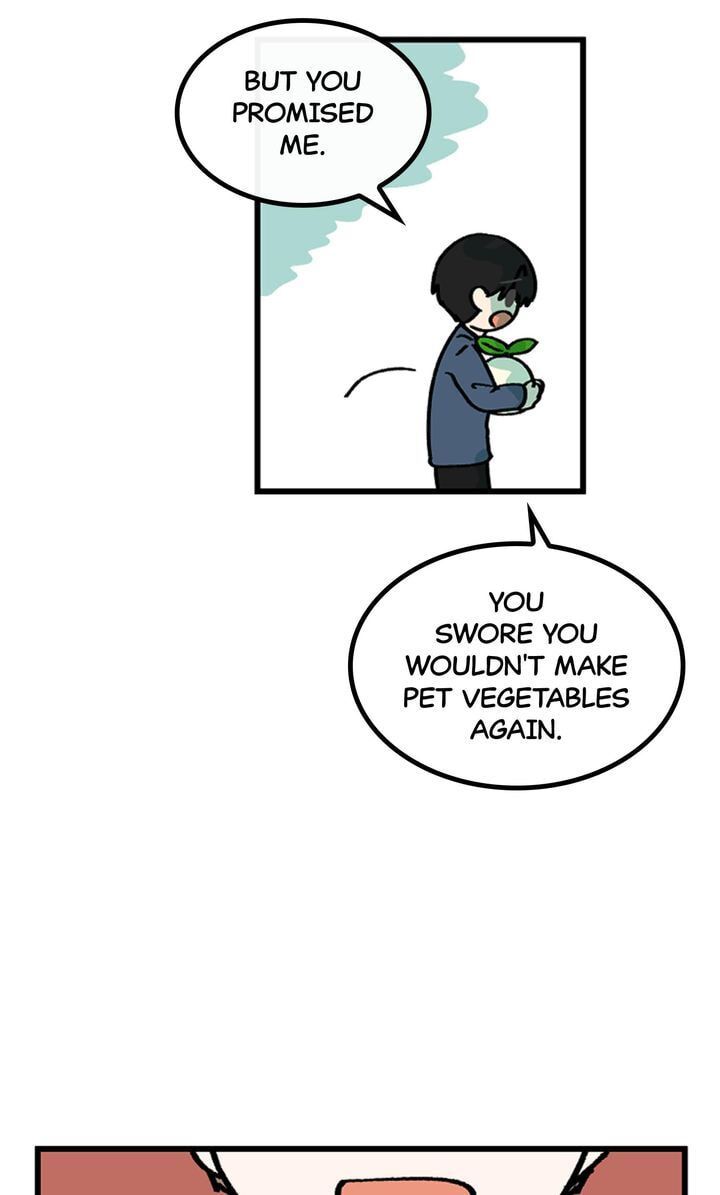 Read A Vegetarian