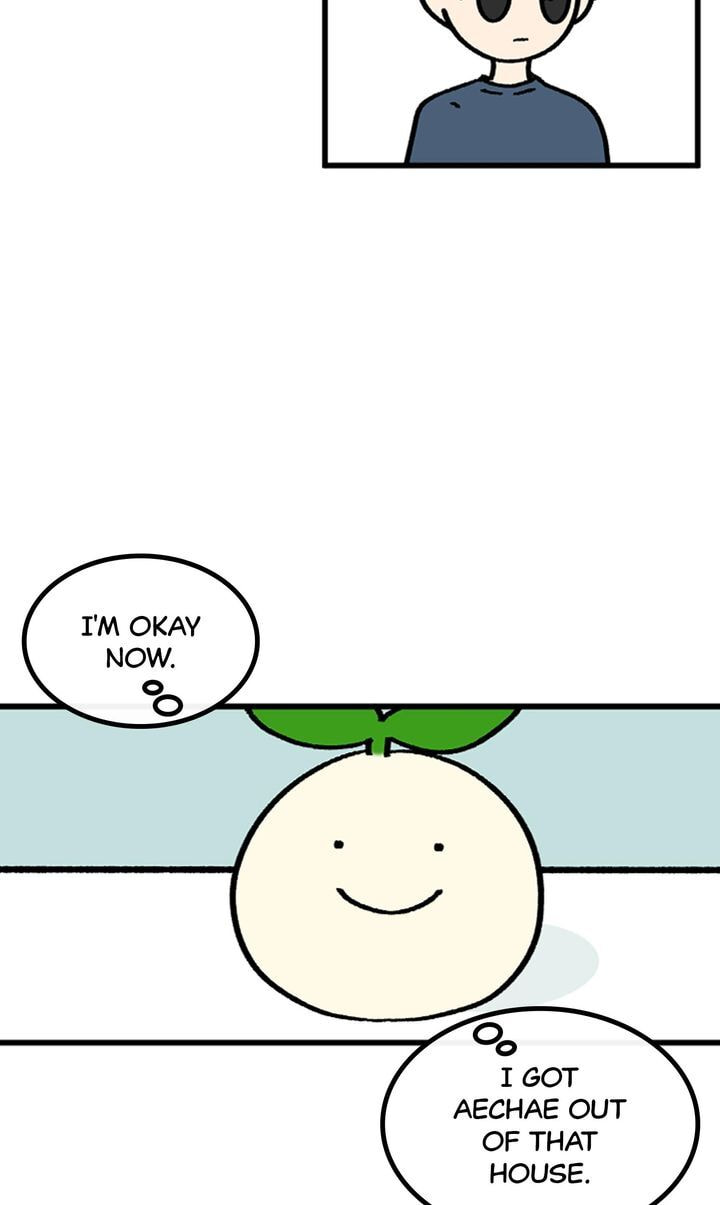 Read A Vegetarian