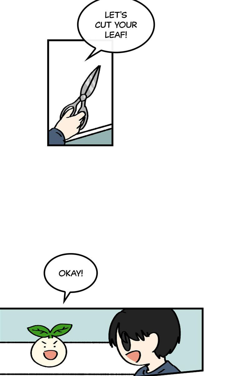 Read A Vegetarian