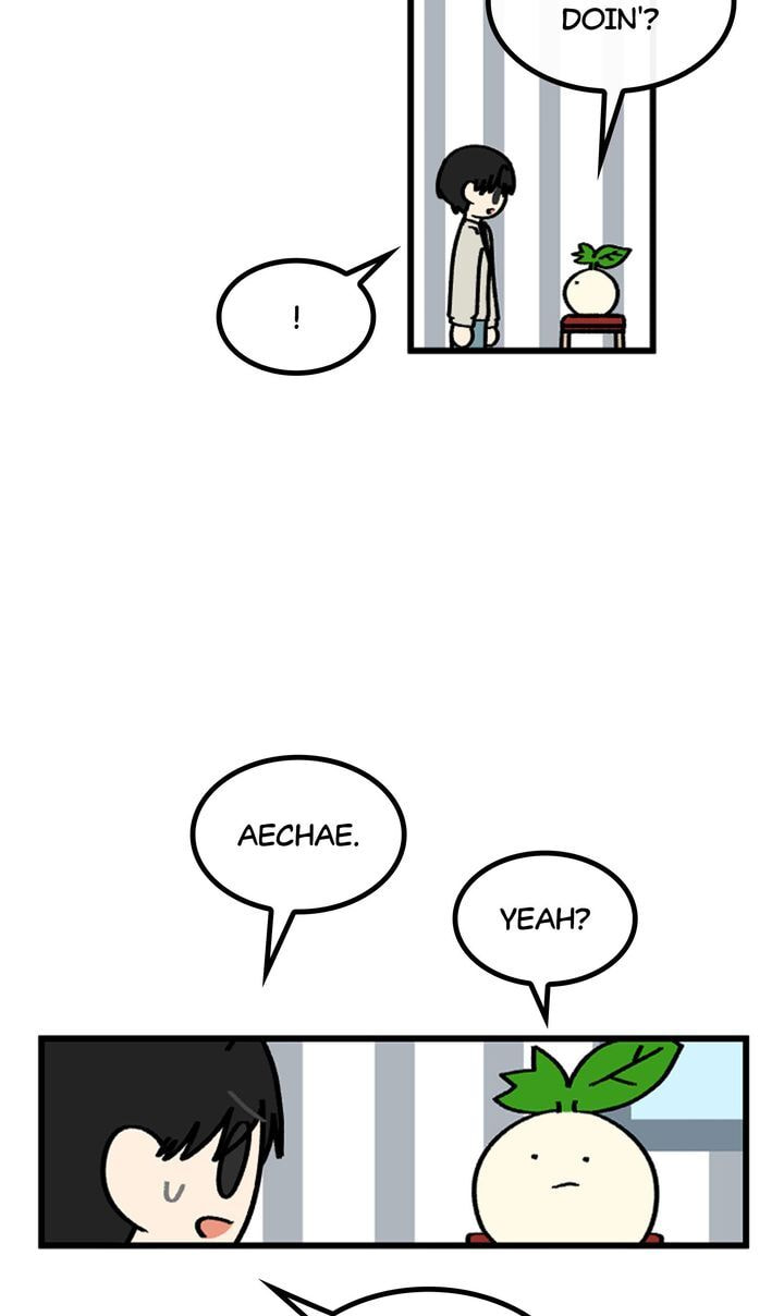 Read A Vegetarian