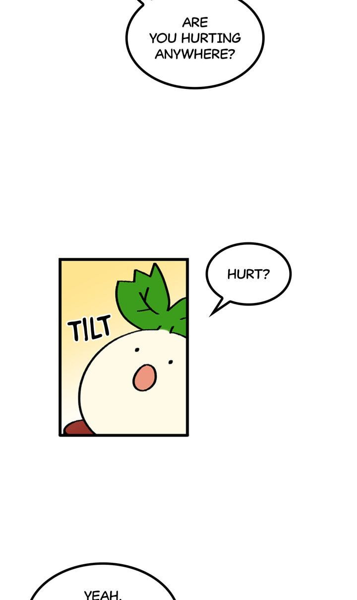 Read A Vegetarian