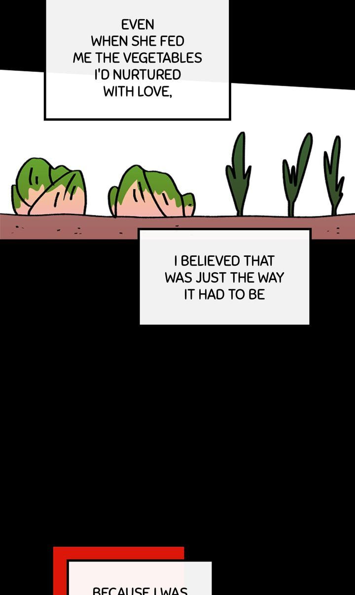 Read A Vegetarian