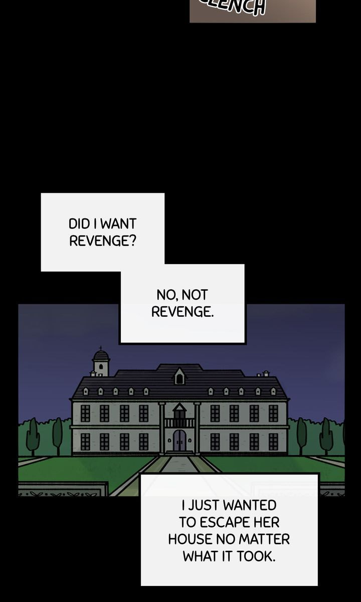 Read A Vegetarian