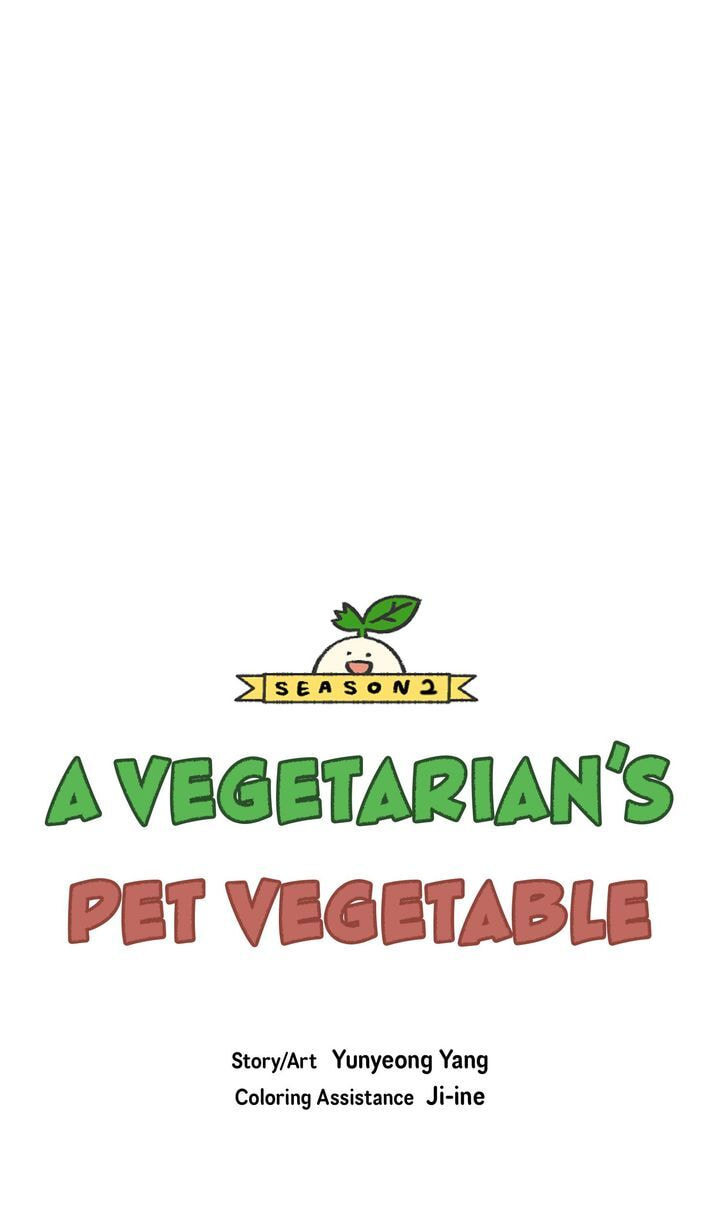 Read A Vegetarian
