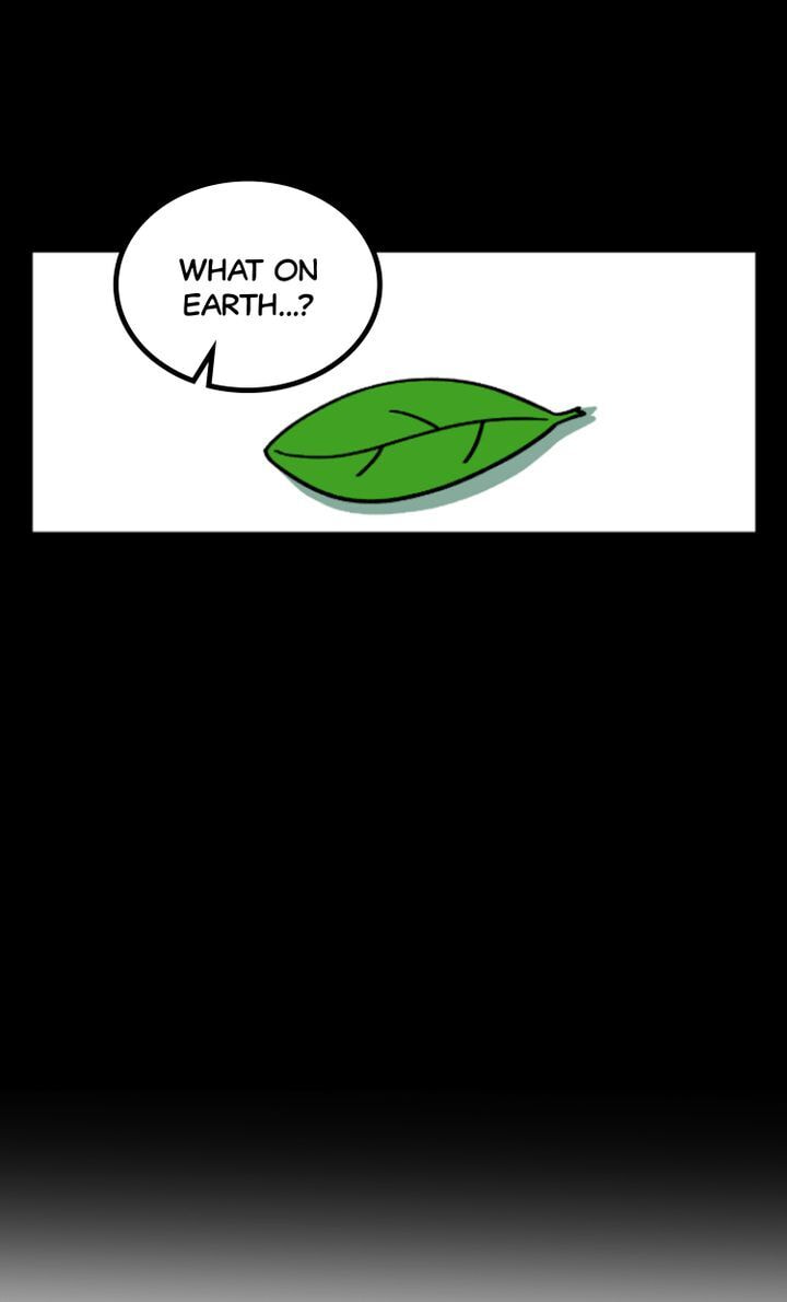 Read A Vegetarian