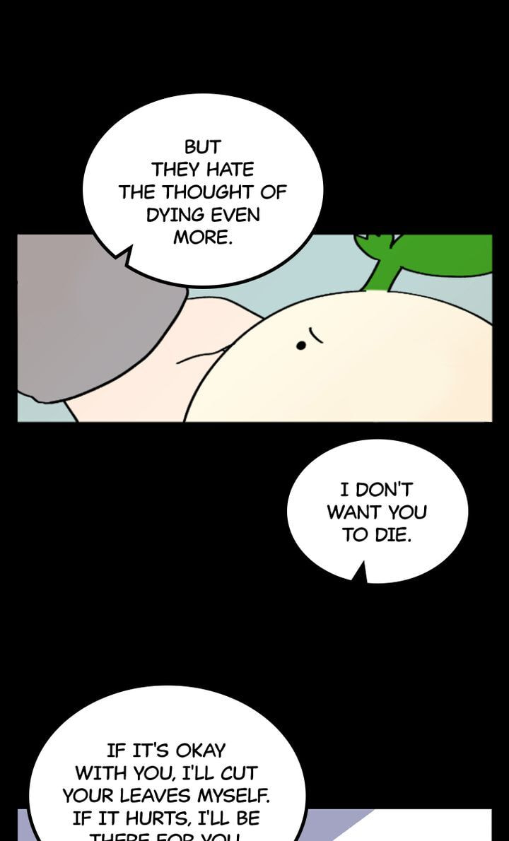 Read A Vegetarian
