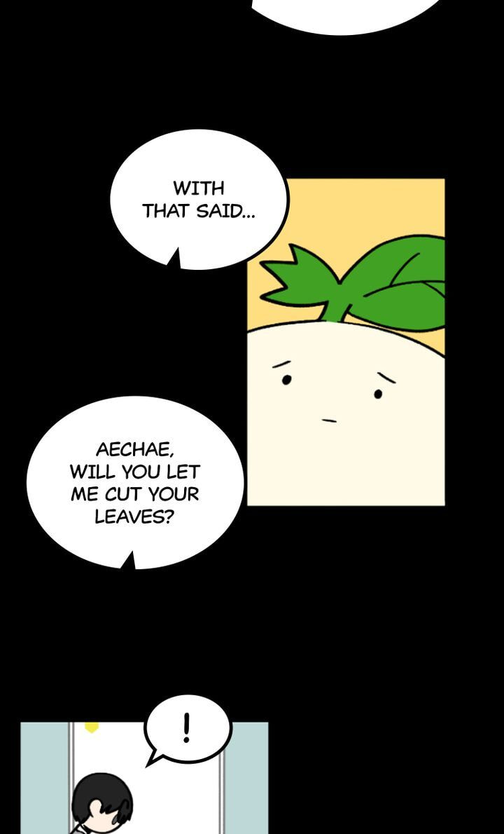 Read A Vegetarian