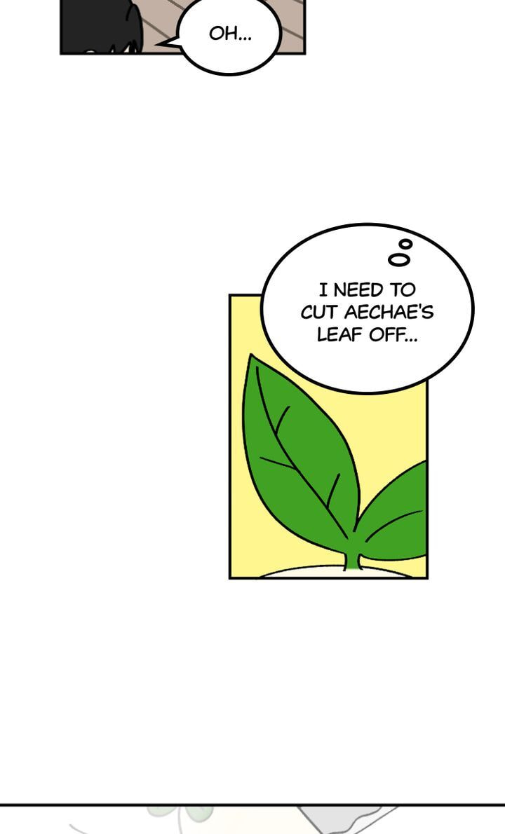 Read A Vegetarian