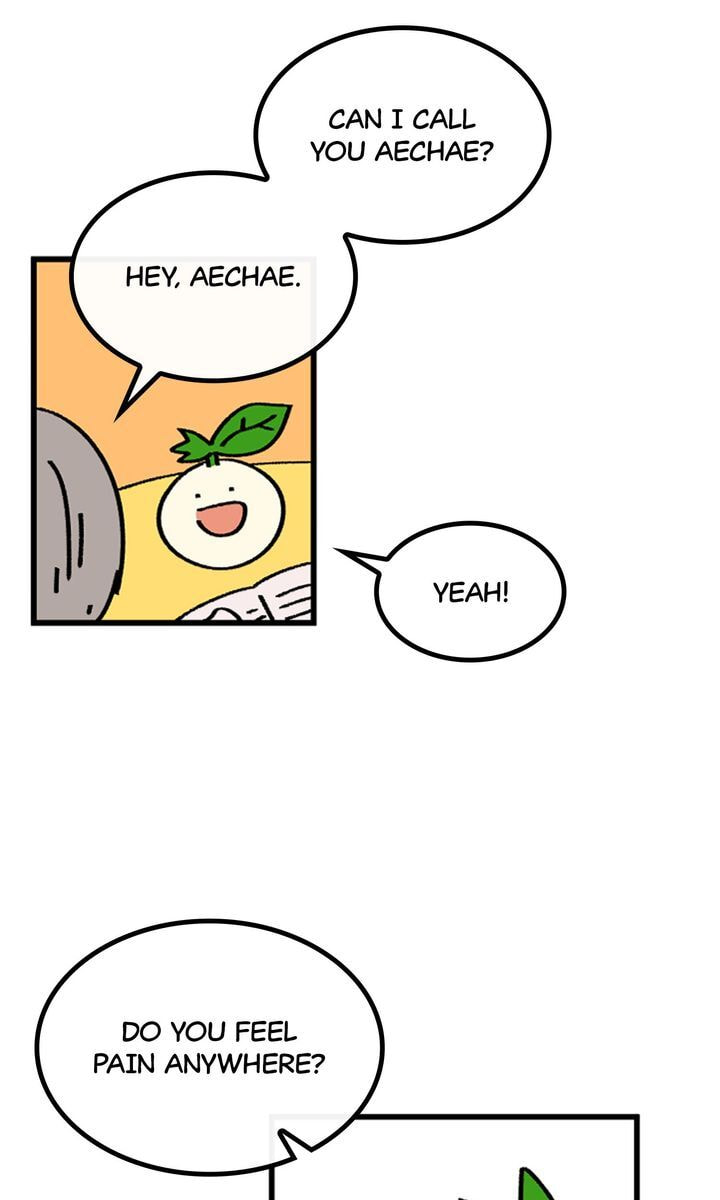 Read A Vegetarian