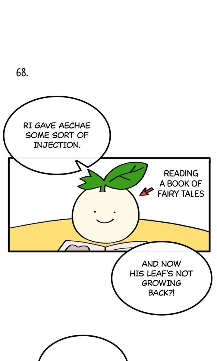 Read A Vegetarian