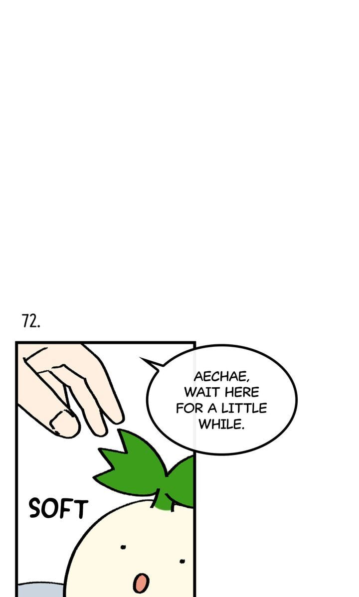 Read A Vegetarian
