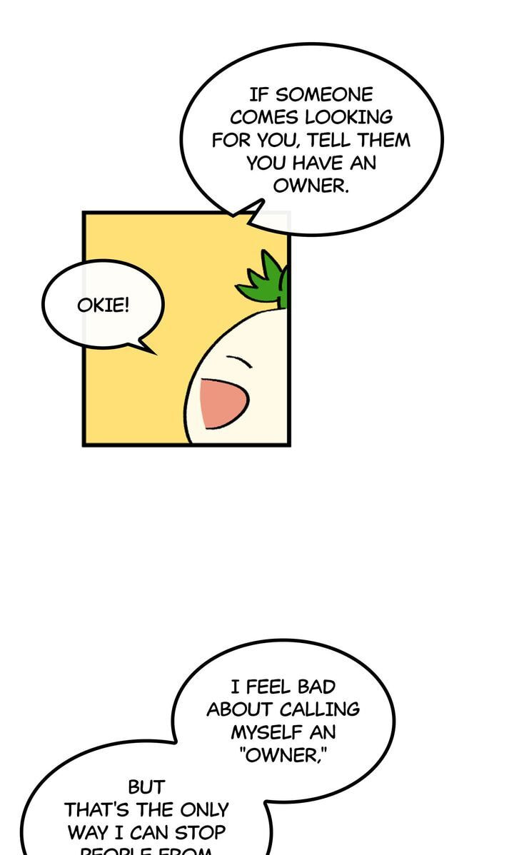 Read A Vegetarian