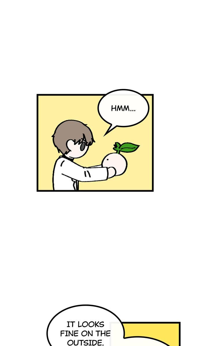 Read A Vegetarian