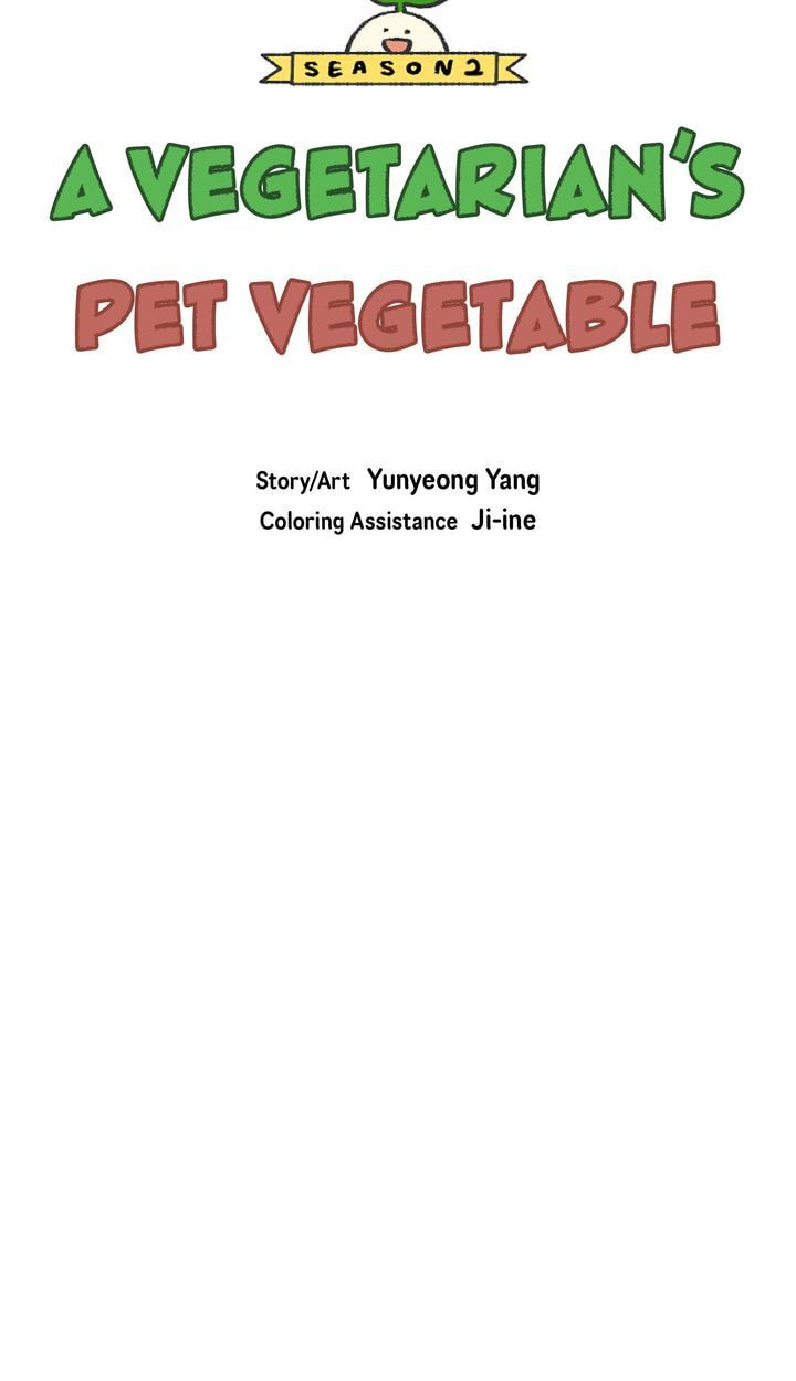 Read A Vegetarian