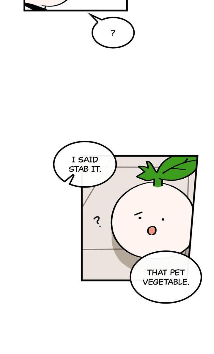 Read A Vegetarian