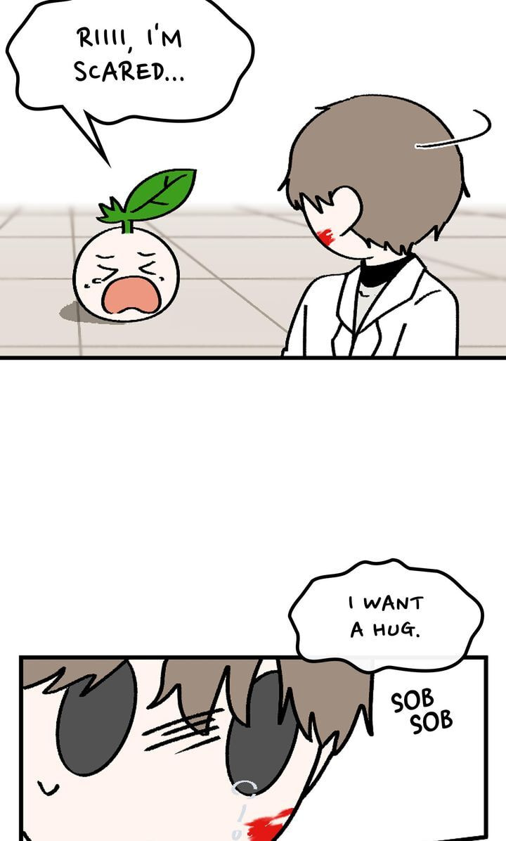 Read A Vegetarian