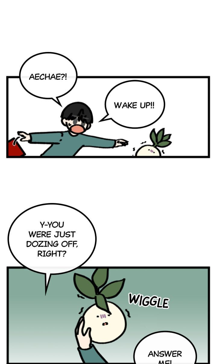 Read A Vegetarian