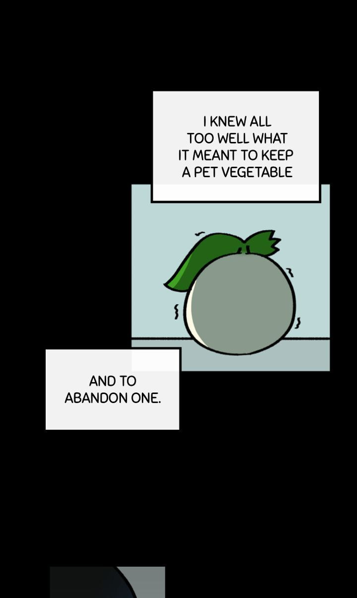Read A Vegetarian