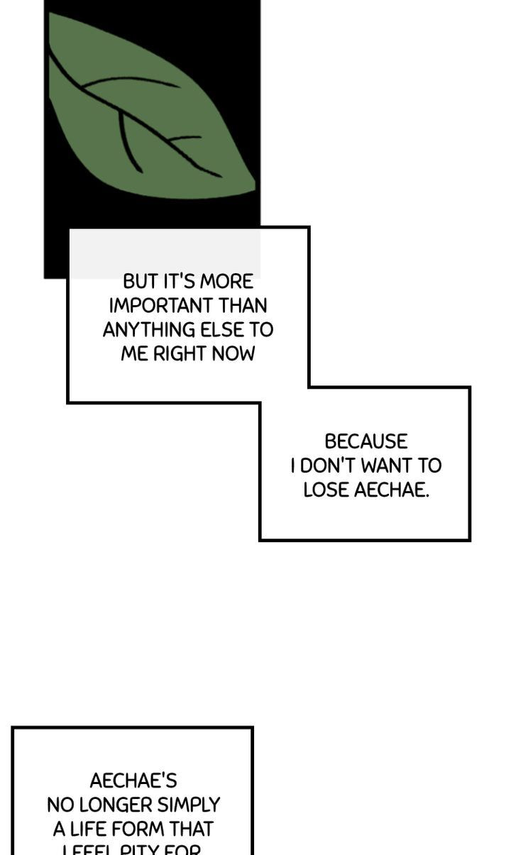 Read A Vegetarian