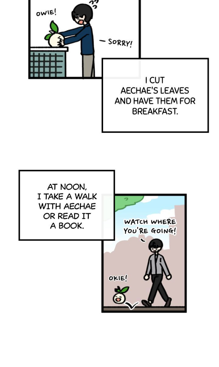 Read A Vegetarian