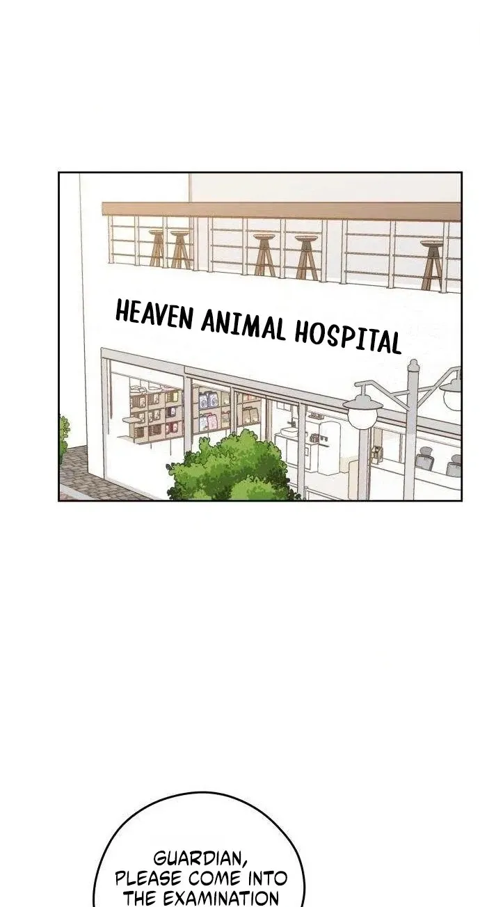 Read A Very Private Area chapter 6 image 19 on Lezhin