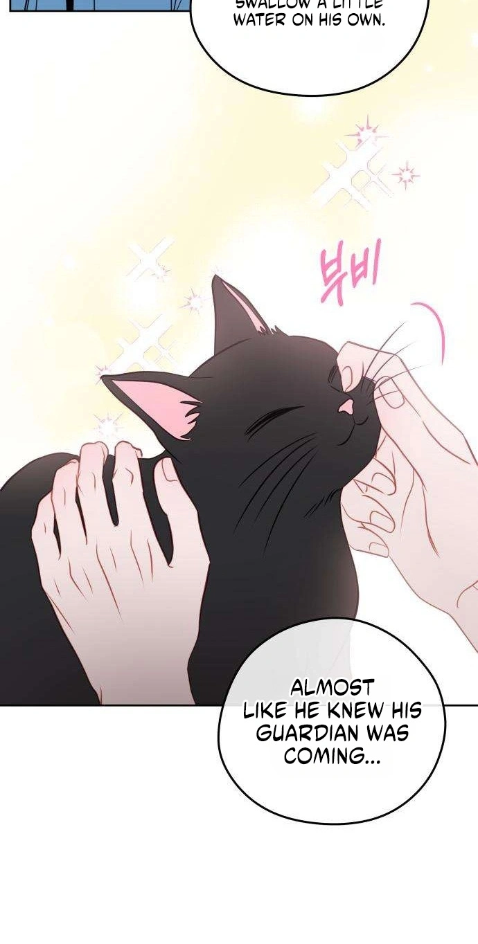 Read A Very Private Area chapter 6 image 26 on Lezhin