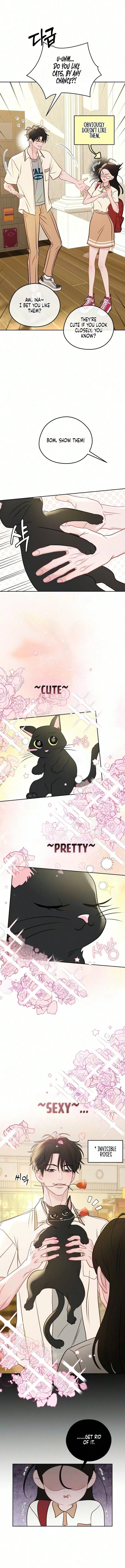 Read A Very Private Area chapter 8 image 5 on Lezhin