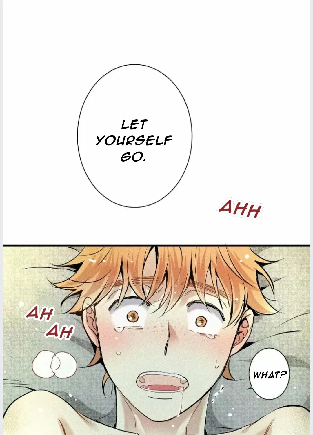 A well known love affair Chapter 19 page 95 - 