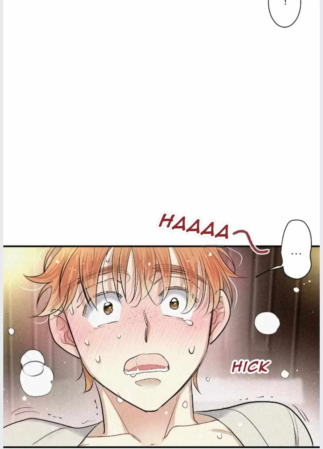 A well known love affair Chapter 20 page 68 - 