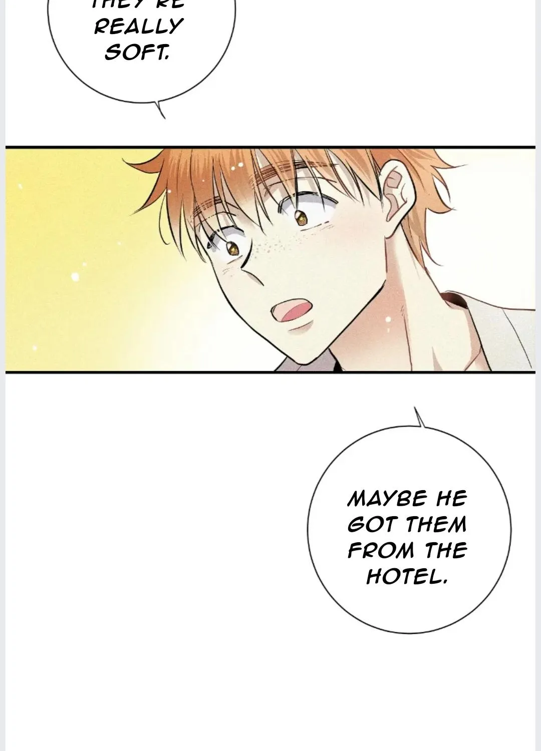 A well known love affair Chapter 22 page 15 - 