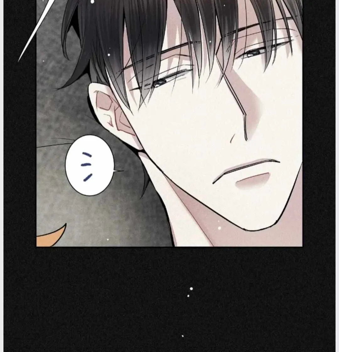 A well known love affair Chapter 22 page 72 - 