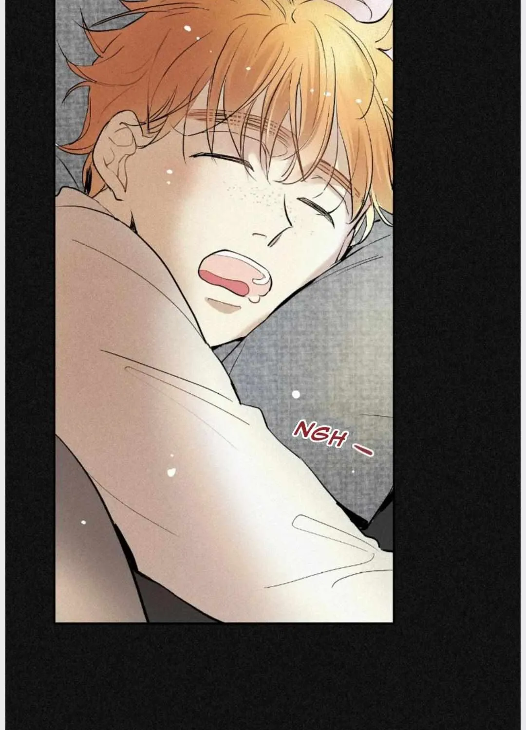 A well known love affair Chapter 22 page 82 - 