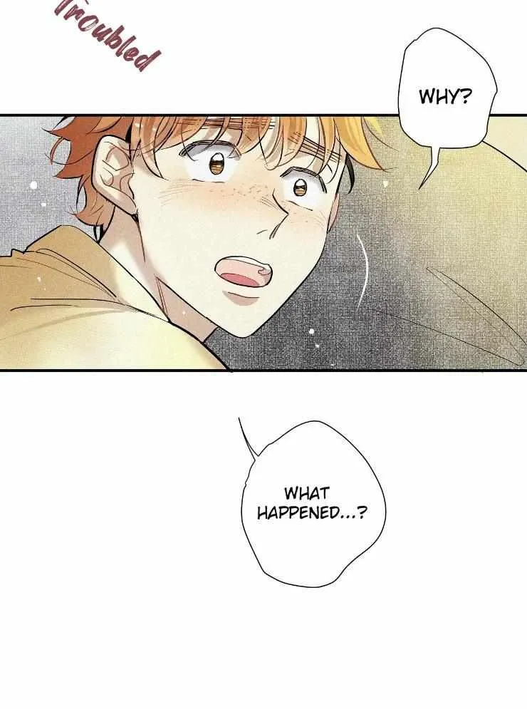 A well known love affair Chapter 29 page 18 - 