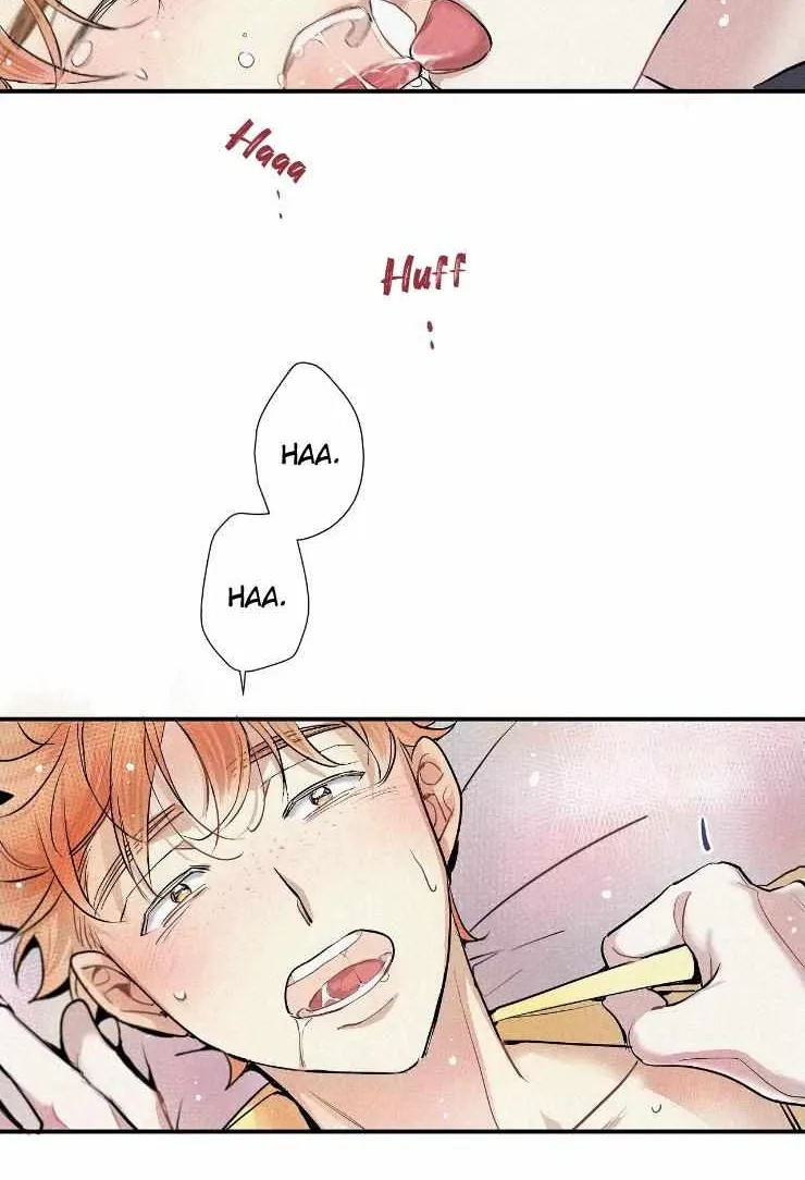 A well known love affair Chapter 29 page 47 - 