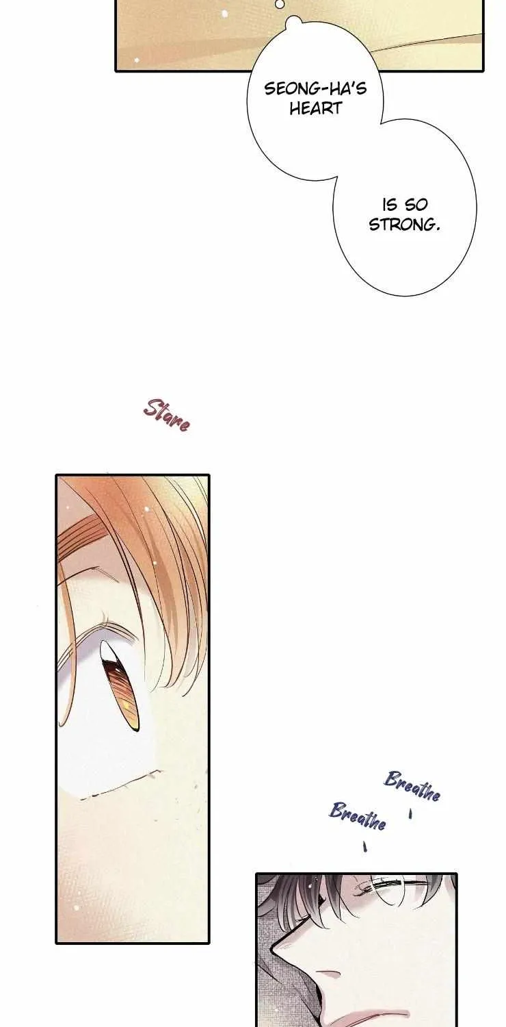 A well known love affair Chapter 29 page 62 - 