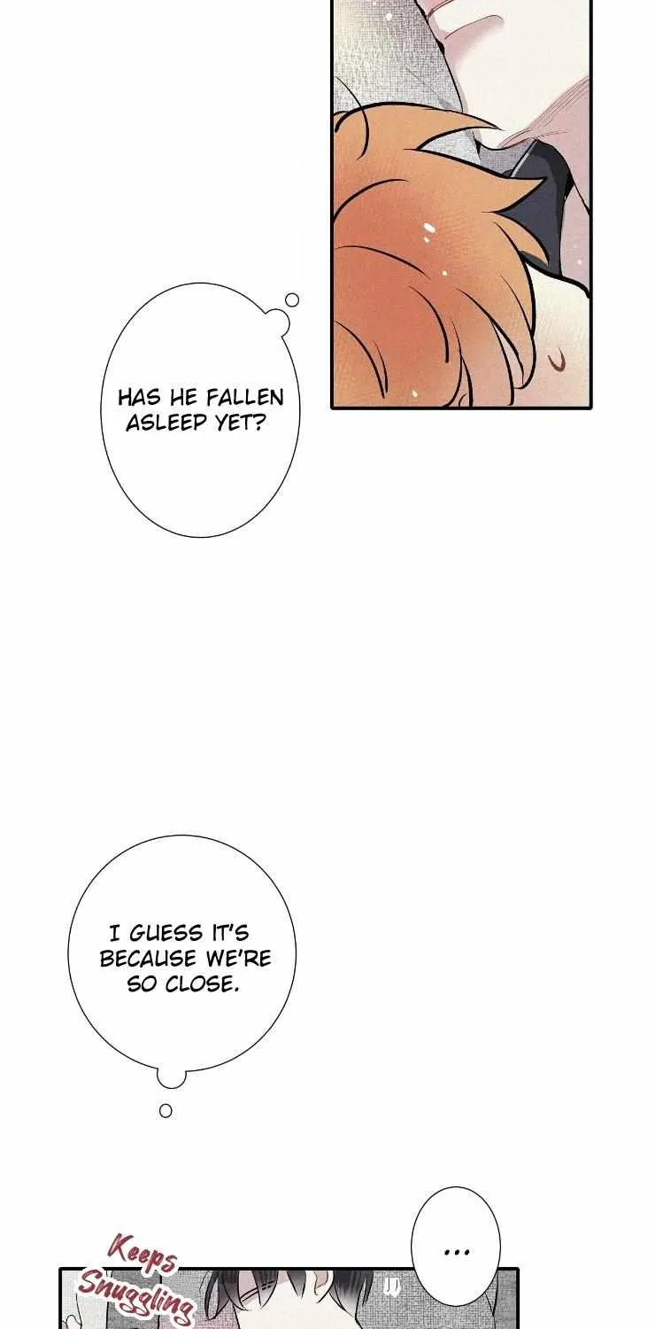 A well known love affair Chapter 29 page 63 - 