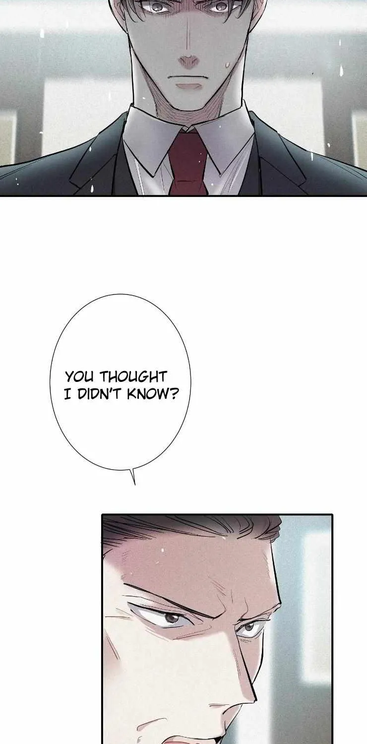 A well known love affair Chapter 30 page 25 - 