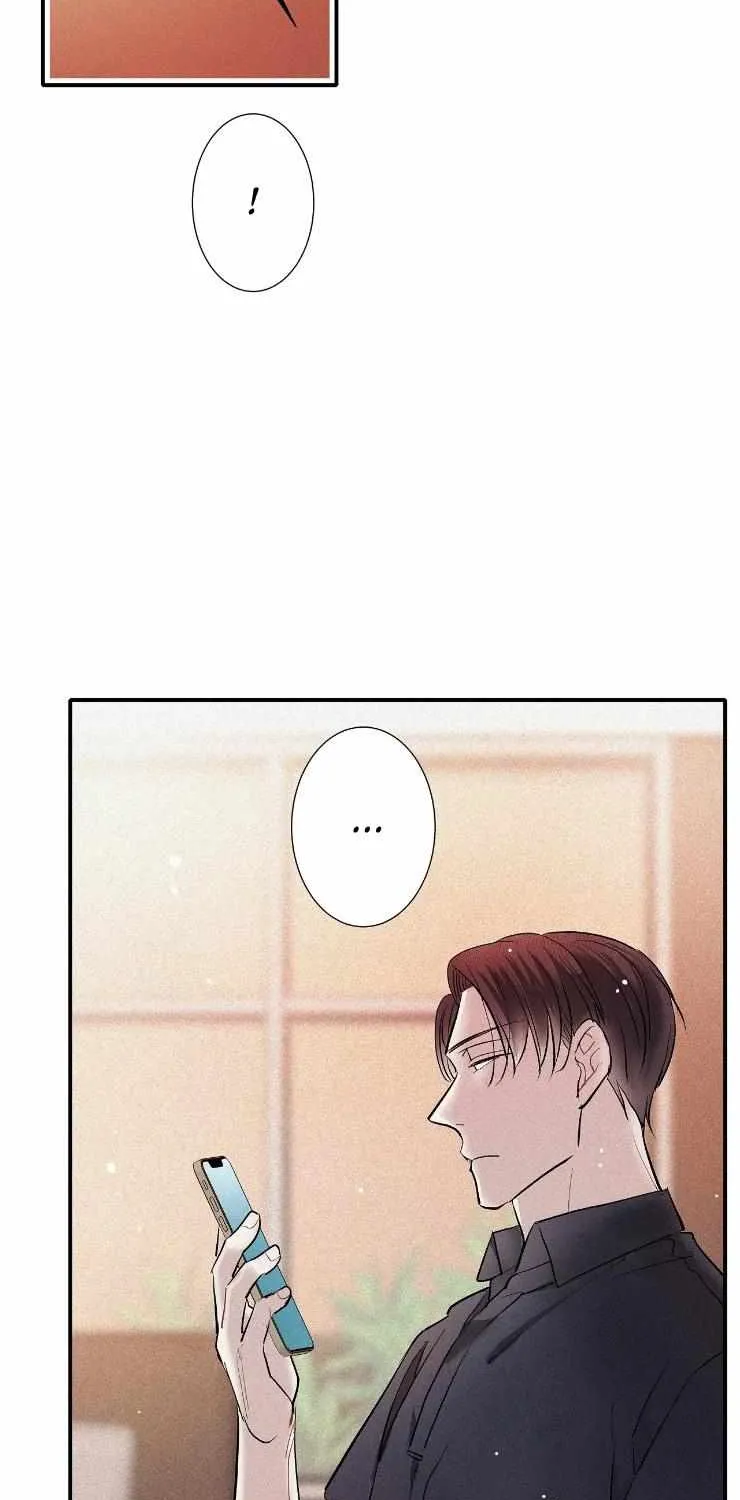A well known love affair Chapter 31 page 12 - 