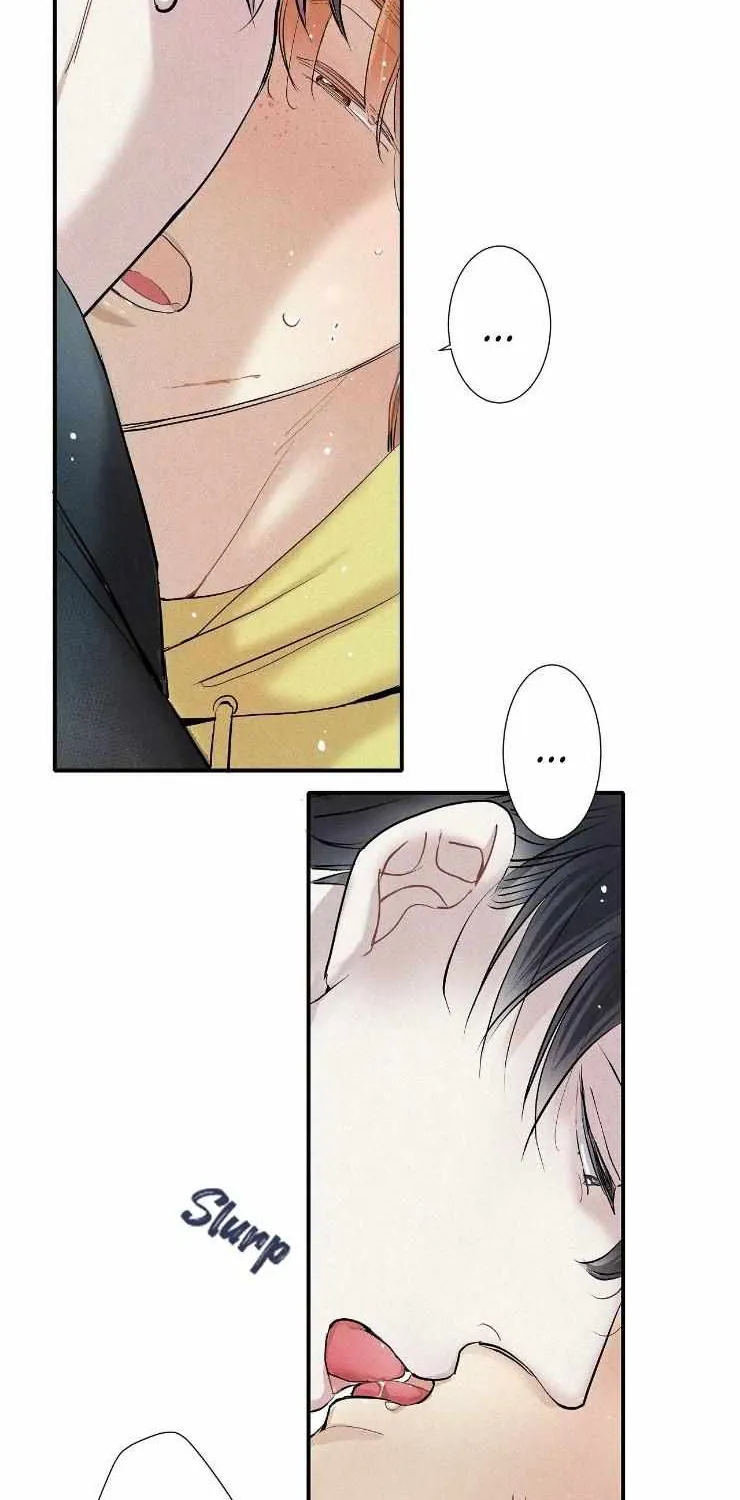 A well known love affair Chapter 33 page 12 - 