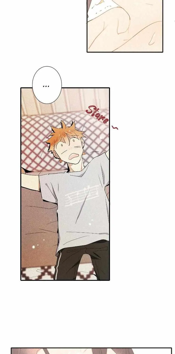 A well known love affair Chapter 39 page 25 - 