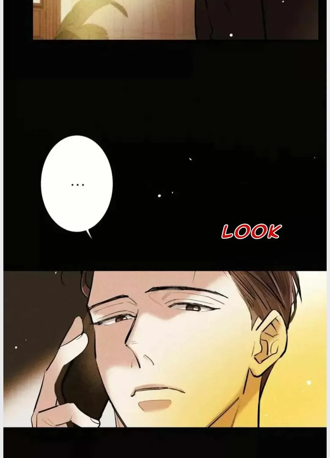 A well known love affair Chapter 4.6 page 10 - 
