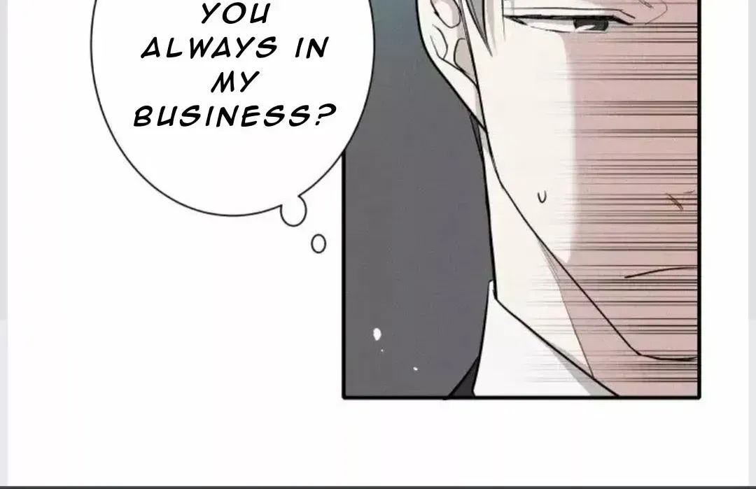 A well known love affair Chapter 4.9 page 84 - 