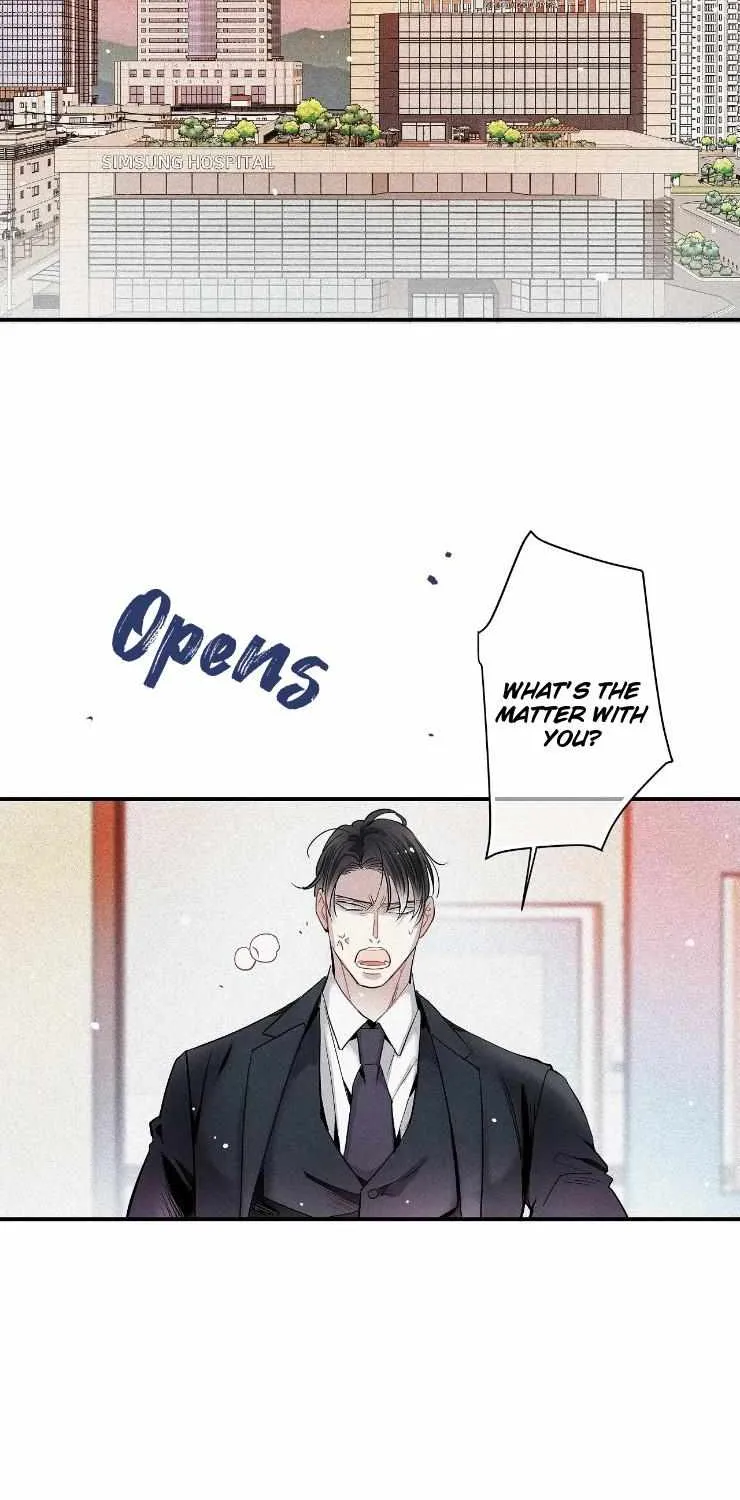 A well known love affair Chapter 41 page 58 - 