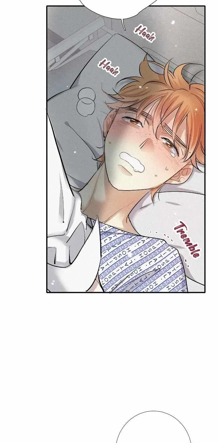 A well known love affair Chapter 45 page 3 - 