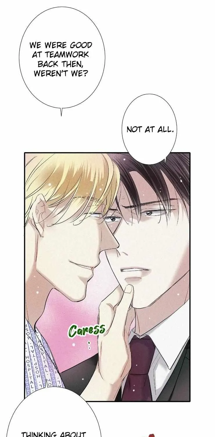 A well known love affair Chapter 46 page 12 - 