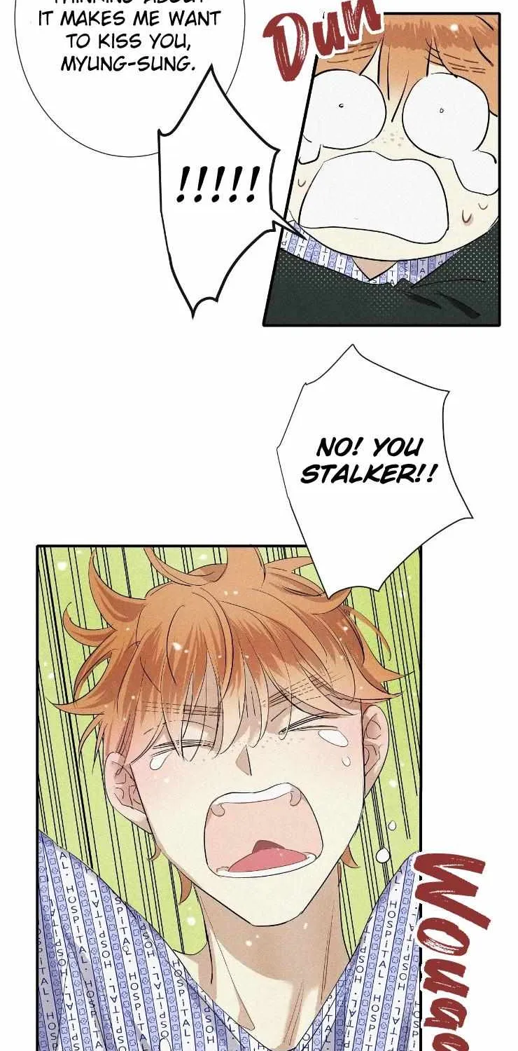 A well known love affair Chapter 46 page 13 - 