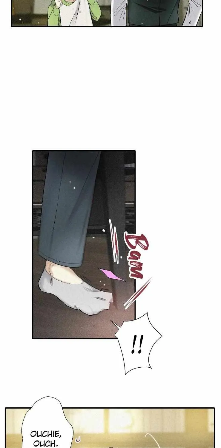 A well known love affair Chapter 47 page 13 - 